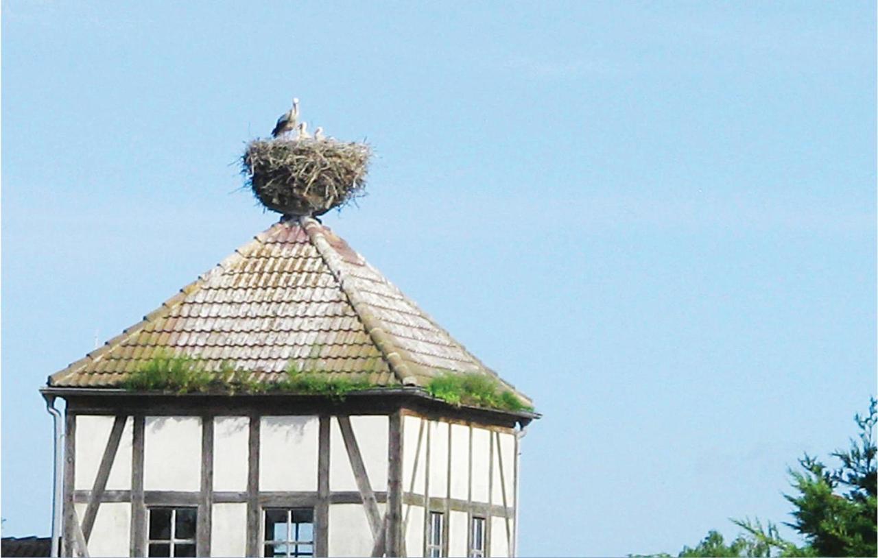 Herrenhaus Luebbenow Екстер'єр фото